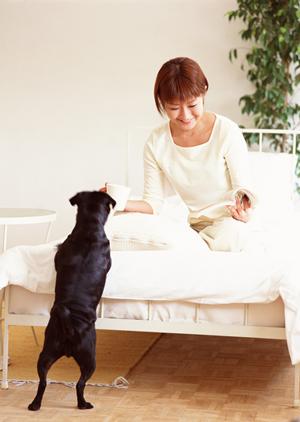 国産無添加のオリジナルドッグフード通販